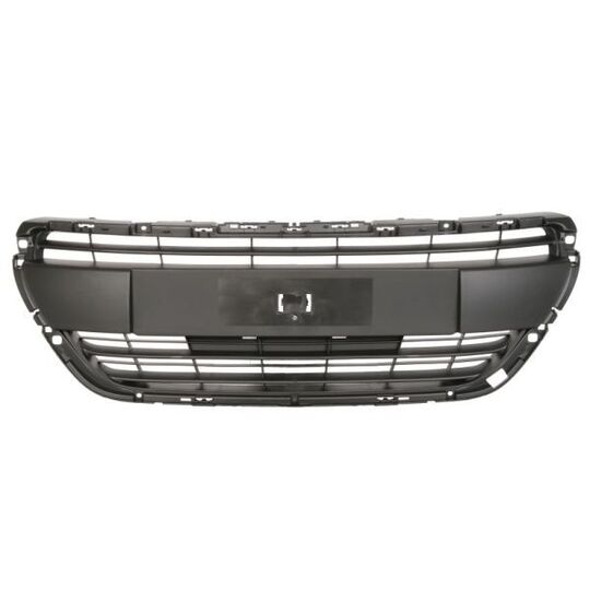 6502-07-5509992Q - Radiator Grille 