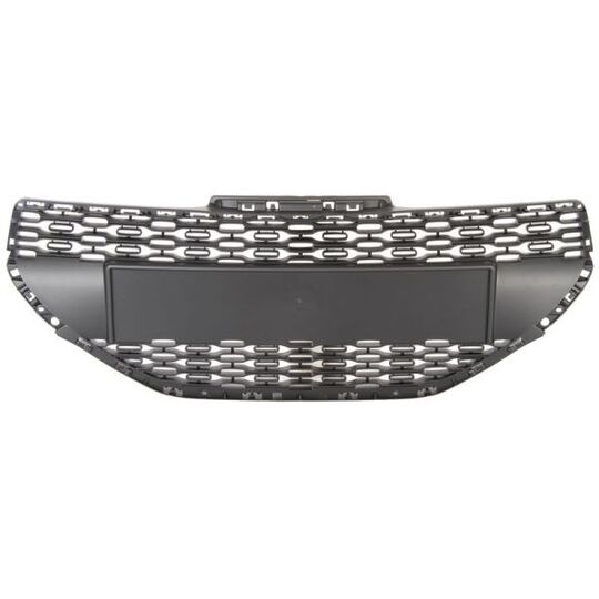 6502-07-5509990Q - Radiator Grille 