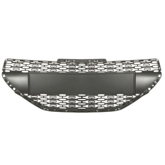 6502-07-5509990P - Radiator Grille 