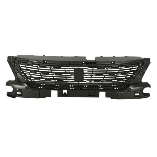 6502-07-5511994P - Radiator Grille 