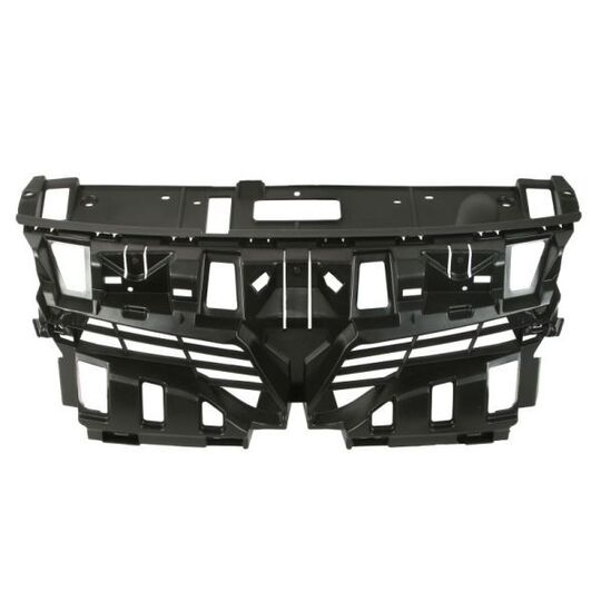 6502-07-6046994P - Radiator Grille 