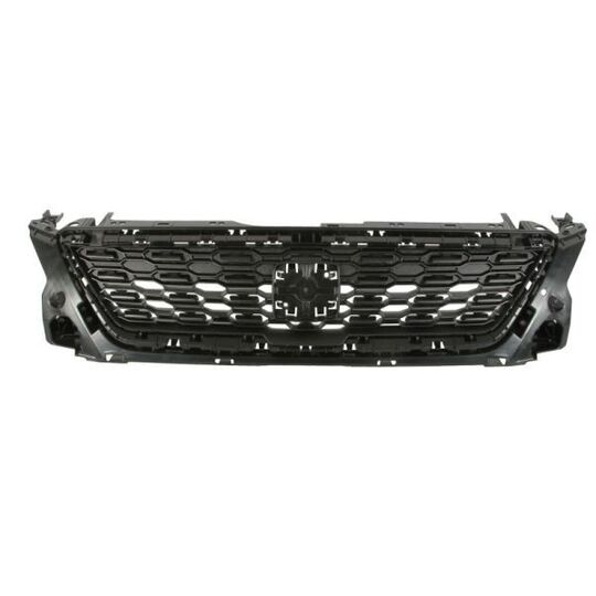 6502-07-6623990Q - Radiator Grille 