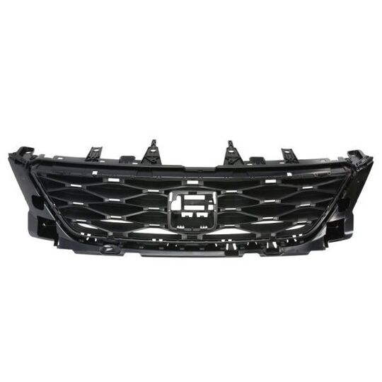 6502-07-6630990Q - Radiator Grille 