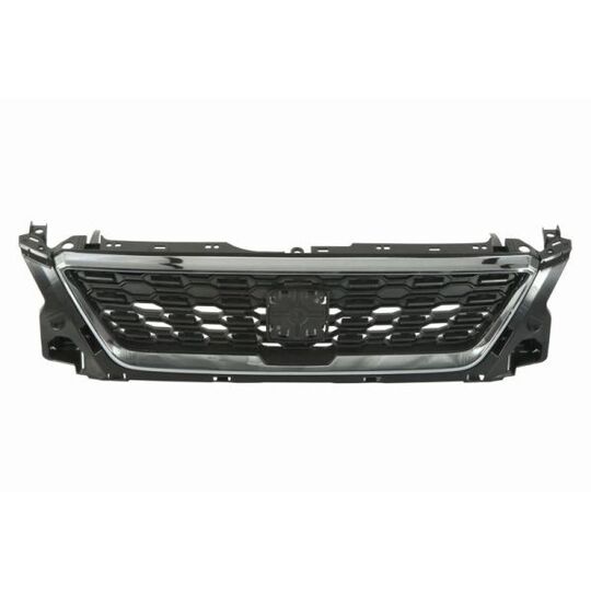 6502-07-6623991P - Radiator Grille 