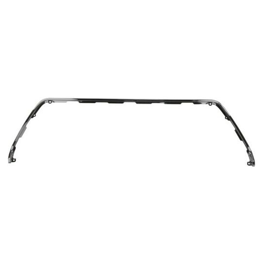 6502-07-8118913Q - Trim/Protective Strip, bumper 