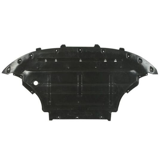 6601-02-0035861P - Engine Guard/Skid Plate 