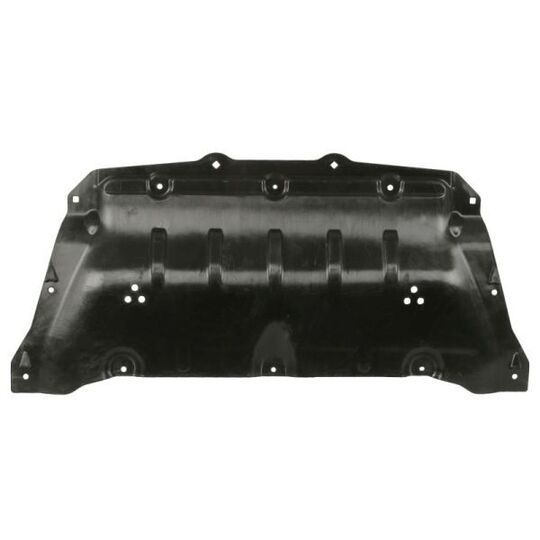 6601-02-0068863P - Engine Guard/Skid Plate 