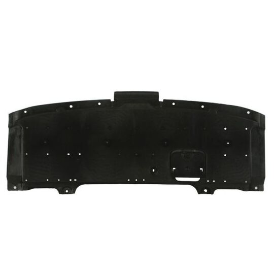 6601-02-3496860P - Engine Guard/Skid Plate 