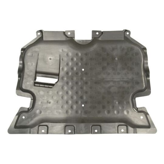 6601-02-3521861P - Engine Cover 