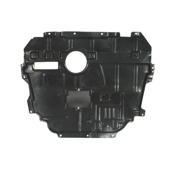 6601-02-8119881P - Engine Cover 