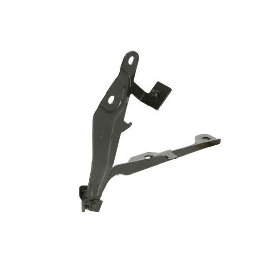 6802-00-2589451P - Hinge, bonnet 