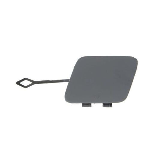 5513-00-0078970P - Flap, tow hook 