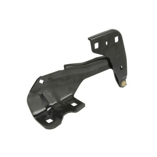 6802-00-2598451P - Hinge, bonnet 