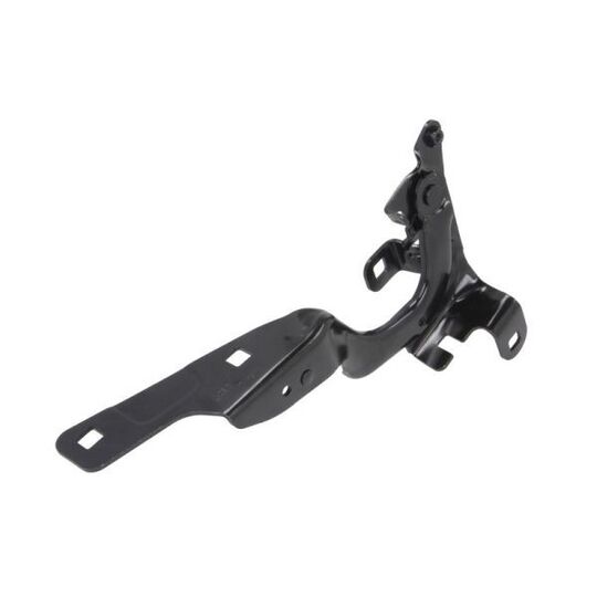 6802-00-6009451P - Hinge, bonnet 