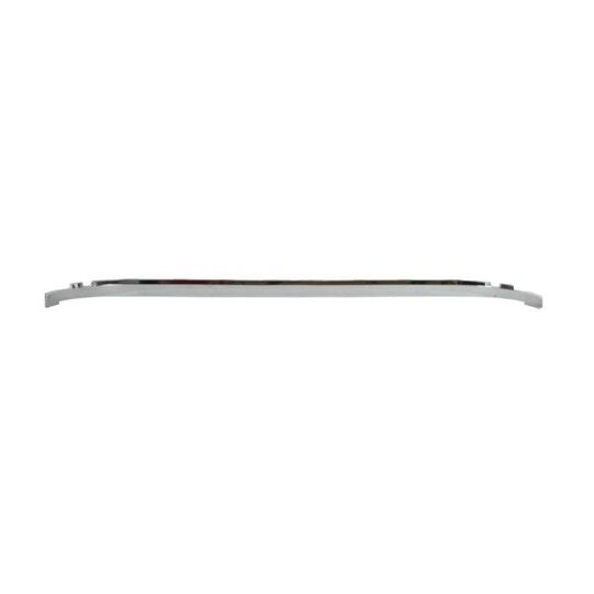 5513-00-5537920P - Trim/Protective Strip, bumper 