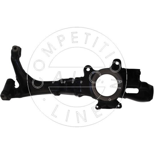 55700 - Steering Knuckle, wheel suspension 