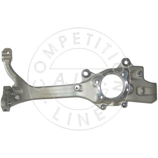 55832 - Steering Knuckle, wheel suspension 