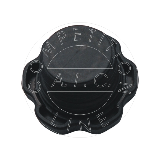 56041 - Sealing Cap, oil filling port 