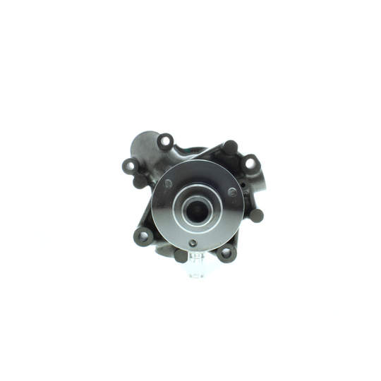 WPM-700 - Water pump 