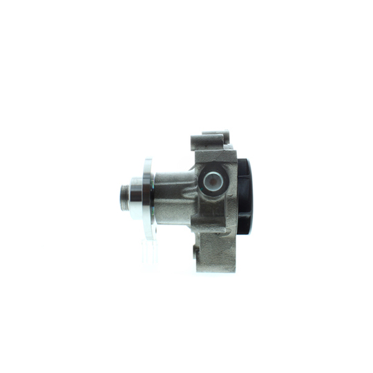 WPM-700 - Water pump 