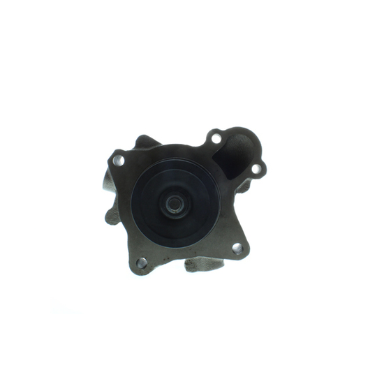 WPM-700 - Water pump 