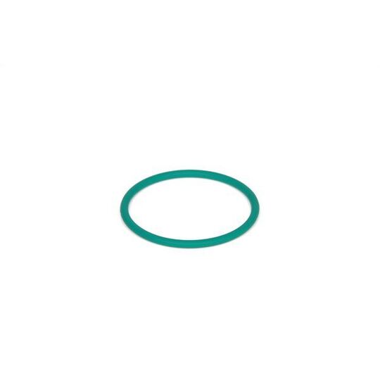 2 700 210 057 - Rubber Ring 