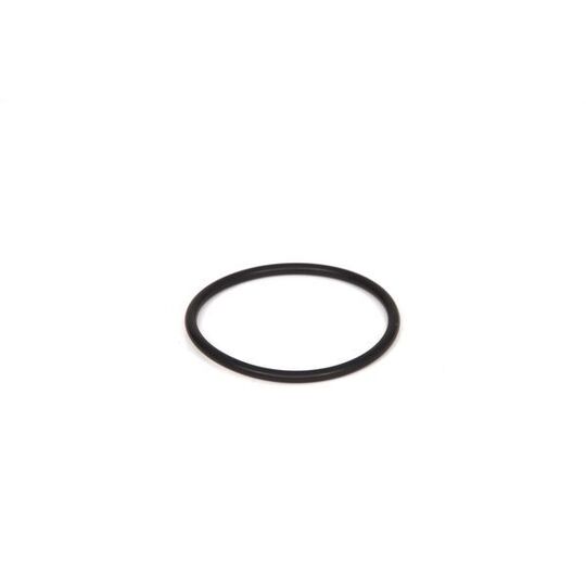 2 700 210 031 - Rubber Ring 