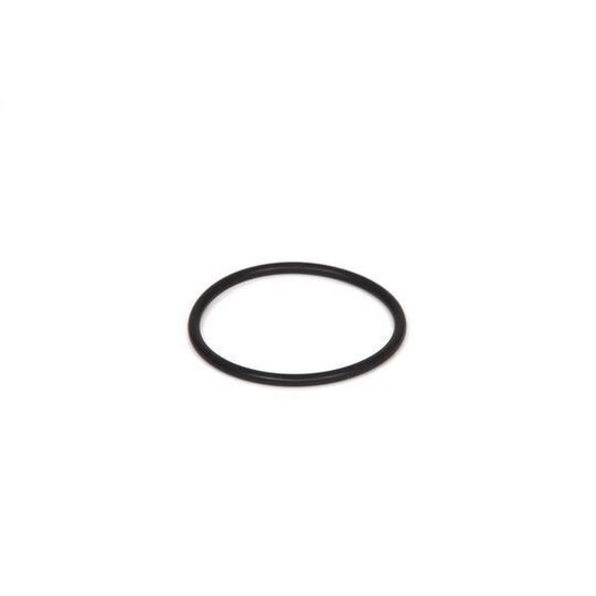 2 700 210 031 - Rubber Ring 