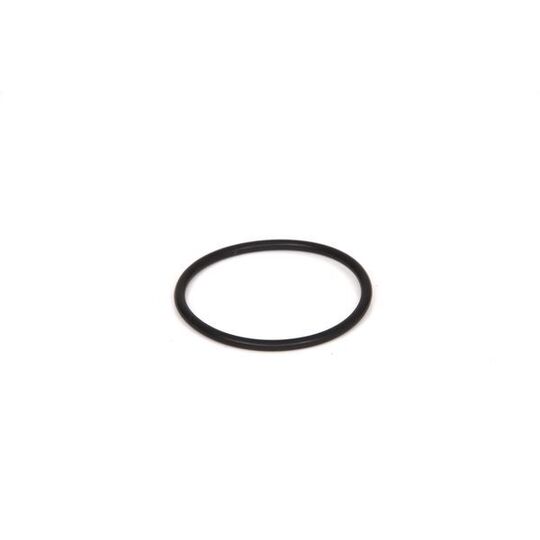 2 700 210 031 - Rubber Ring 