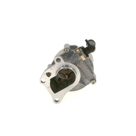 F 009 D02 808 - Vacuum Pump, brake system 