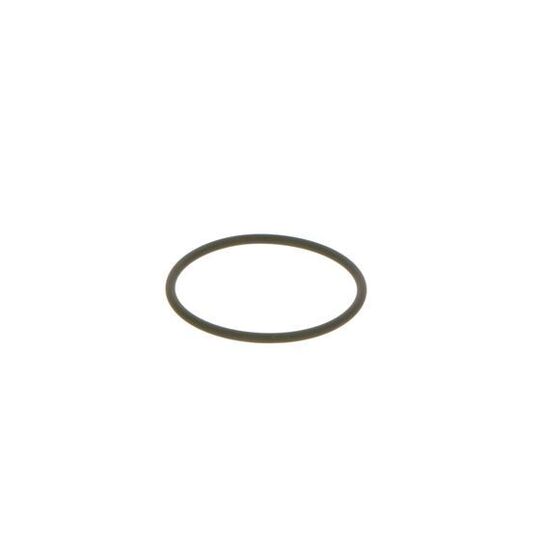 F 00N 202 130 - Seal Ring 