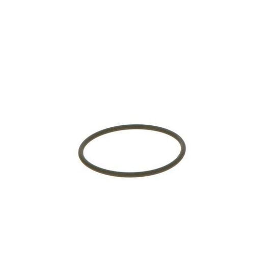 F 00N 202 130 - Seal Ring 