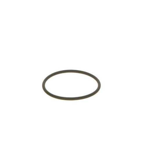 F 00N 202 130 - Seal Ring 