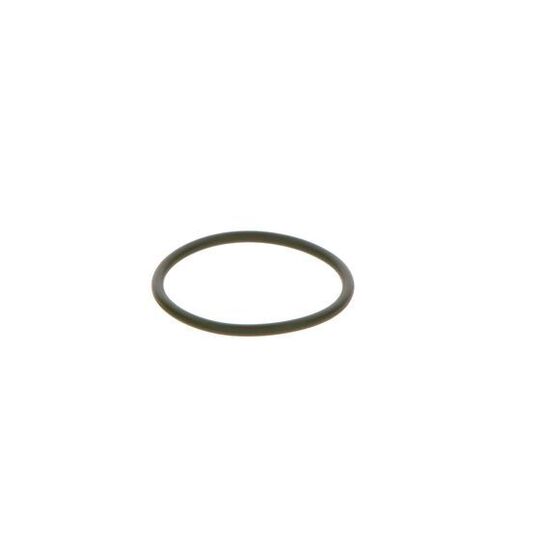 F 00R 0P0 166 - Rubber Ring 