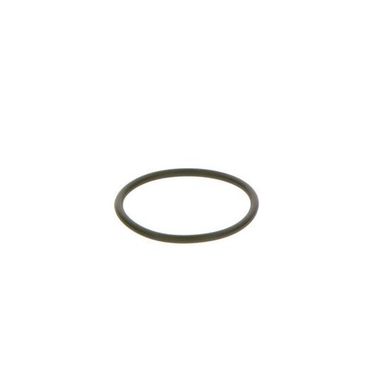 F 00R 0P0 166 - Rubber Ring 