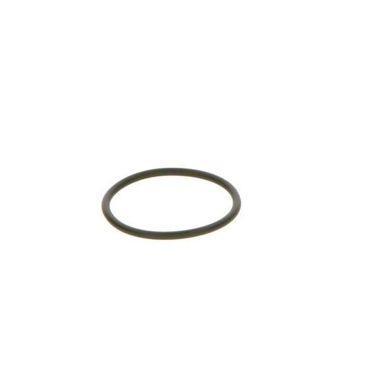 F 00R 0P0 166 - Rubber Ring 