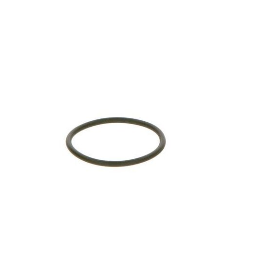 F 00R 0P0 166 - Rubber Ring 