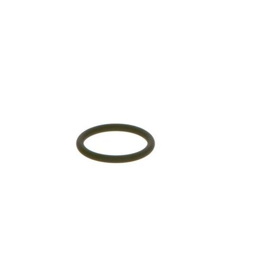 F 00R J00 534 - Seal Ring 