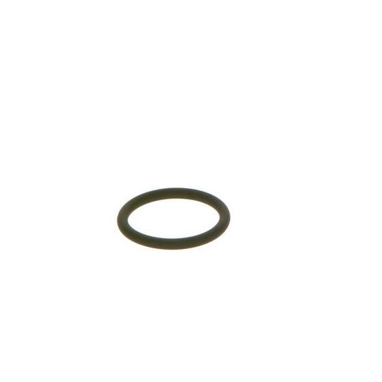 F 00R J00 534 - Seal Ring 