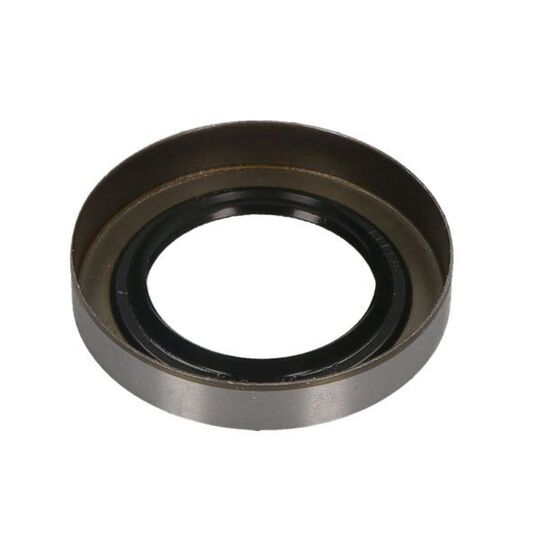 47100603BTA - Shaft Seal, wheel bearing 