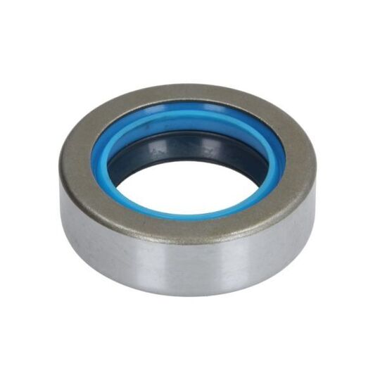 B05-AG-172 - Shaft Seal, differential 