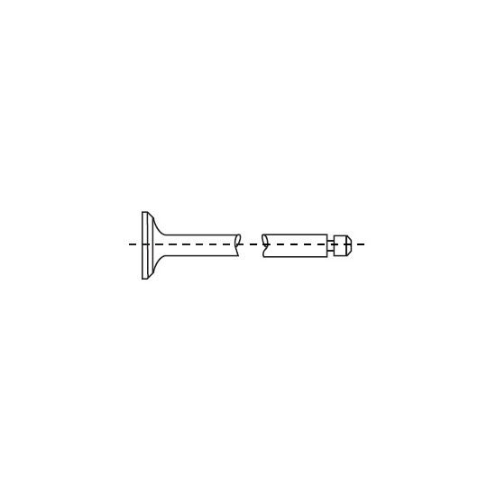 49355460 - Inlet Valve 