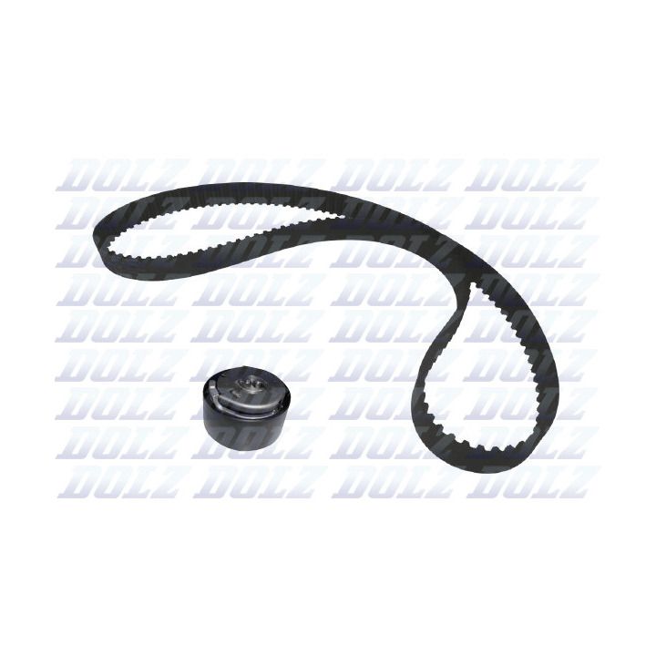 SKD119 Timing Belt Set Spareto