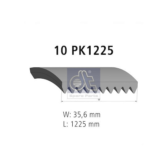 2.15558 - V-Ribbed Belt 