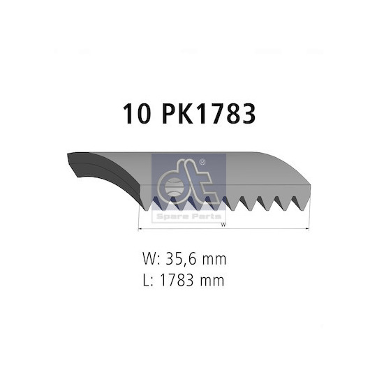 2.15554 - V-Ribbed Belt 