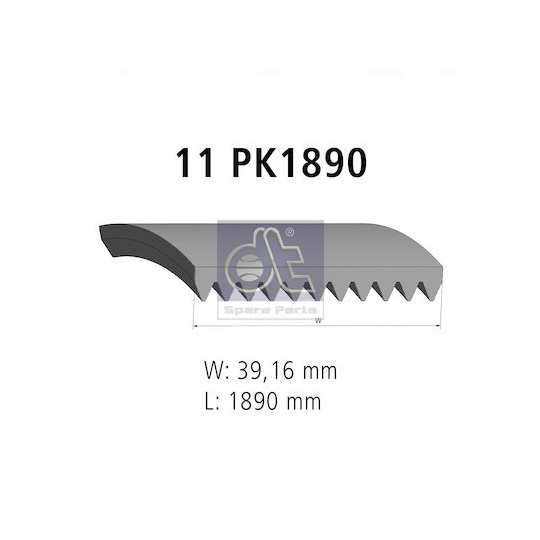 4.80392 - V-Ribbed Belt 