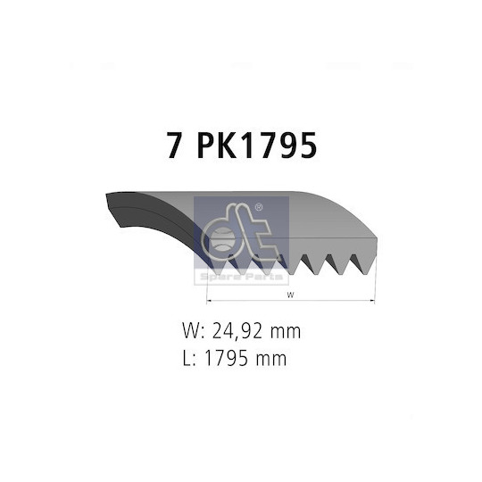 6.31543 - V-Ribbed Belt 