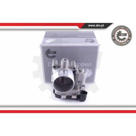 12SKV100 - Throttle body 