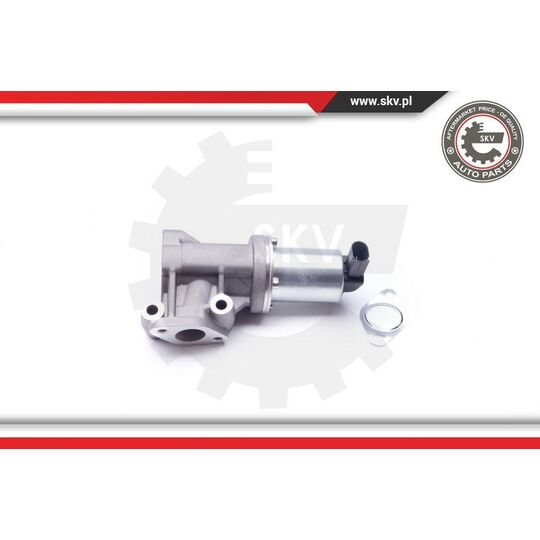 14SKV105 - EGR Valve 