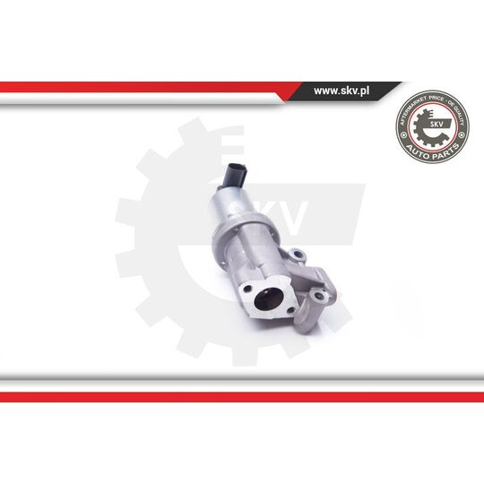 14SKV105 - EGR Valve 